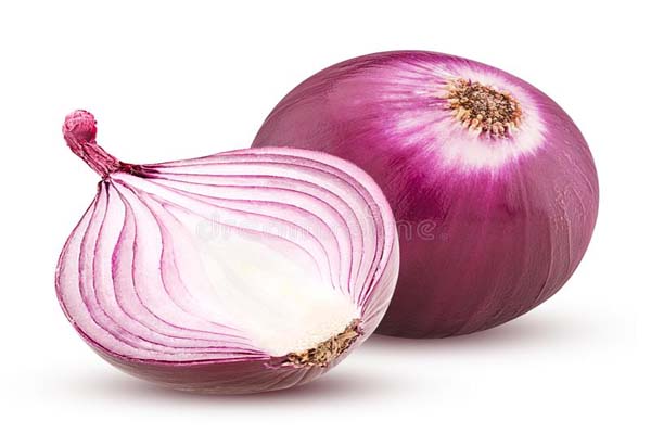 Onion-Cultivation-Tripura